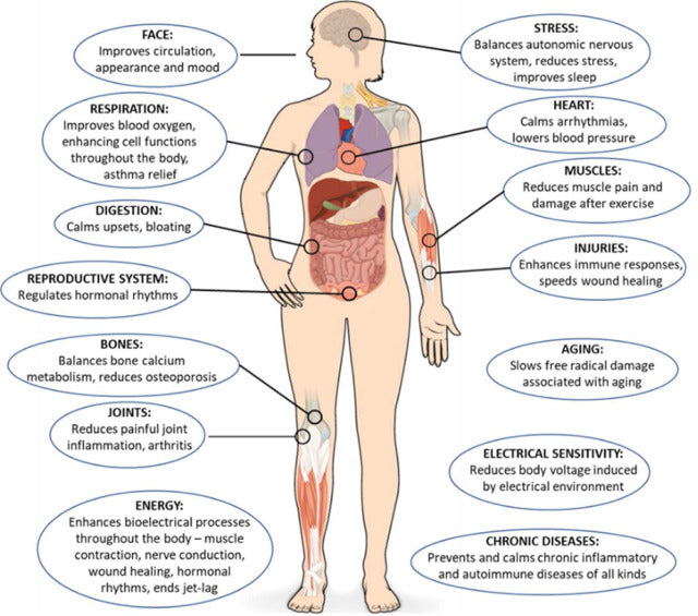 Hoja de puesta a tierra ajustada de alta plata (90x200 cm)