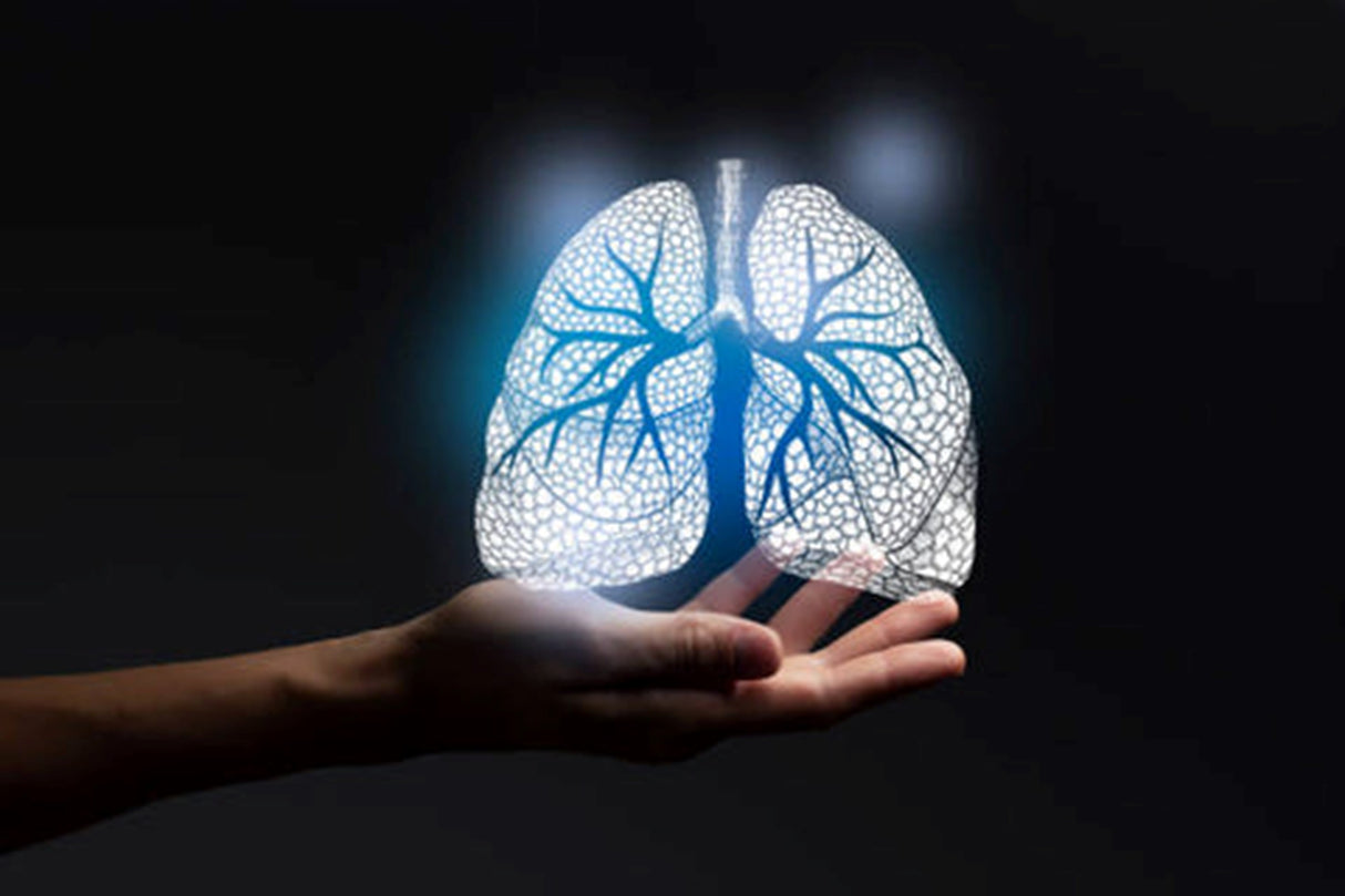 Panel de terapia de luz roja RL450MaxC de Uno Vita (negro)