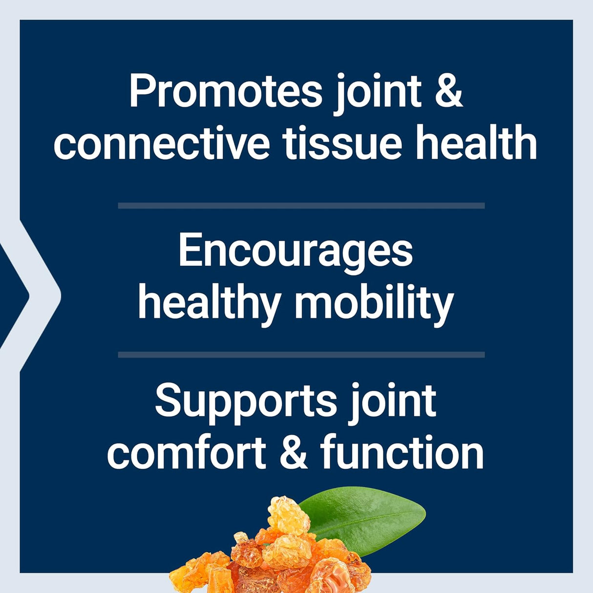 ArthroMax® Advanced with NT2 Collagen™ & AprèsFlex®