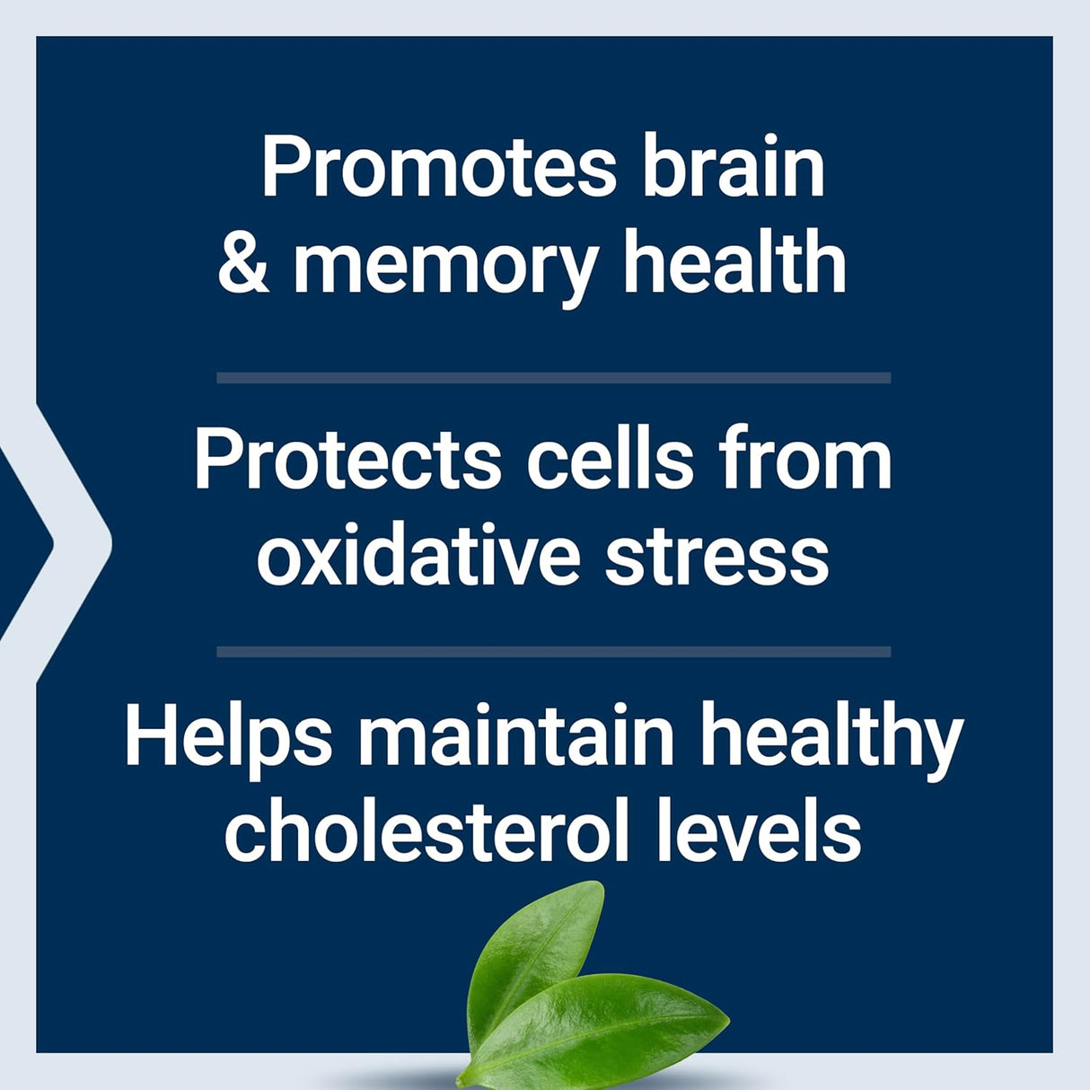 Life Extension Blueberry Extract Capsules