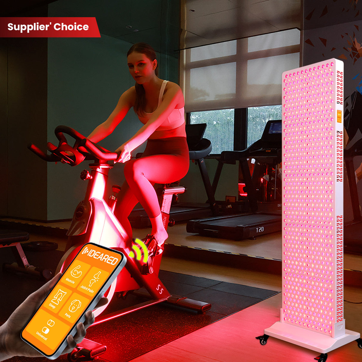 Uno Vita's RLPRO1000 LED Therapy Light (full spectrum)