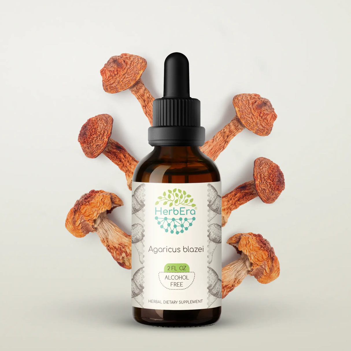 HerbEra Agaricus Blazei Tinktur