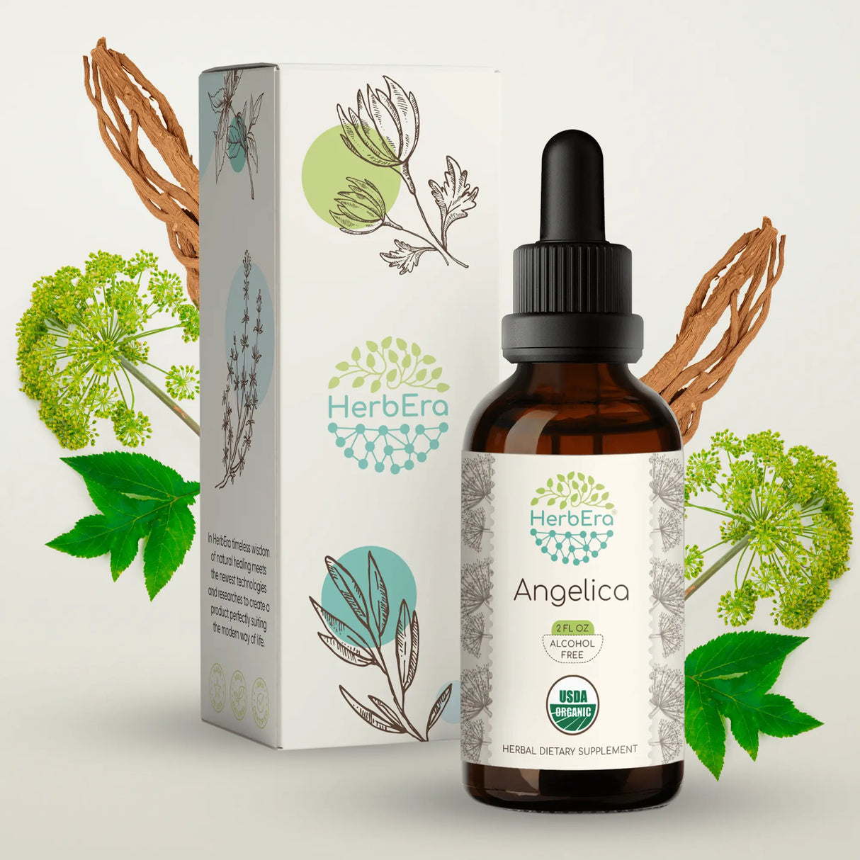 HerbEra Angelika-Tinktur