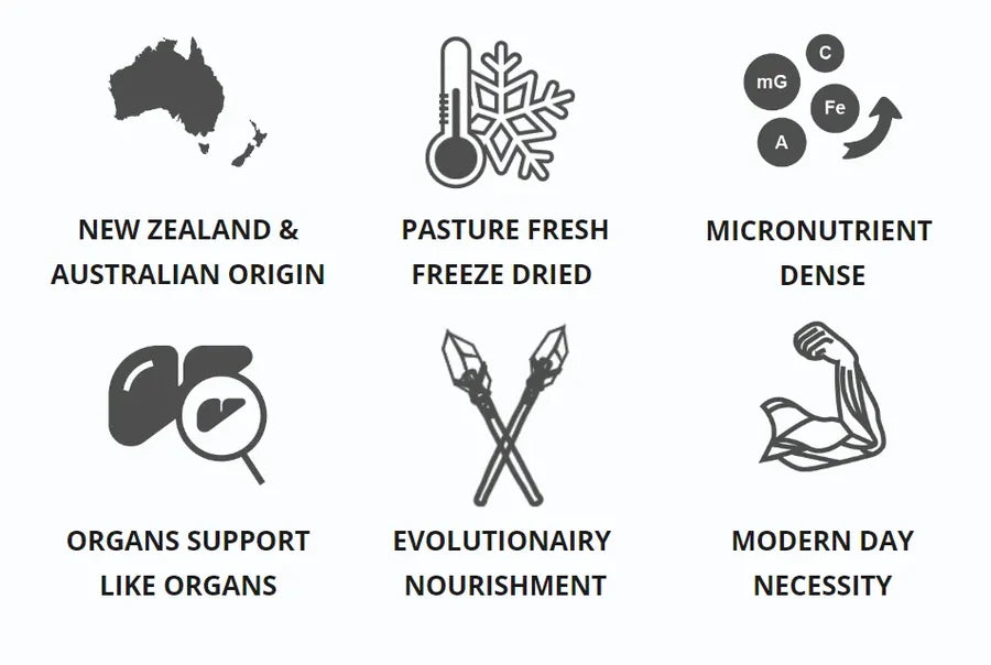 Paleo Beef Brain - Gräsmatad - 180 kapslar
