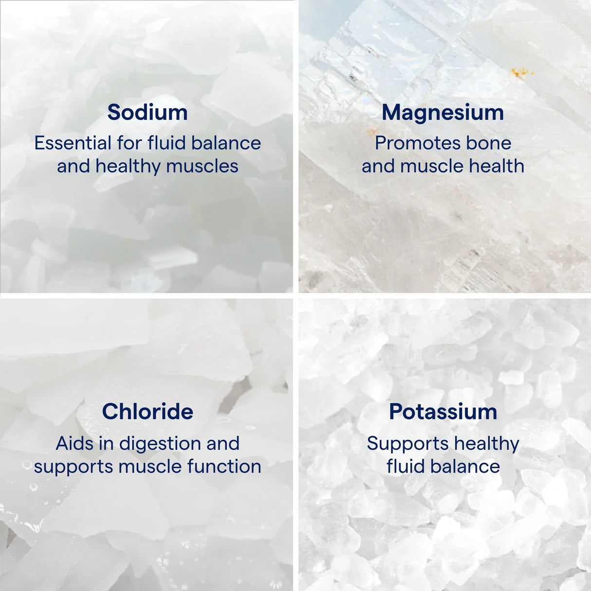 ConcenTrace® Trace Mineral Drops (237ml)