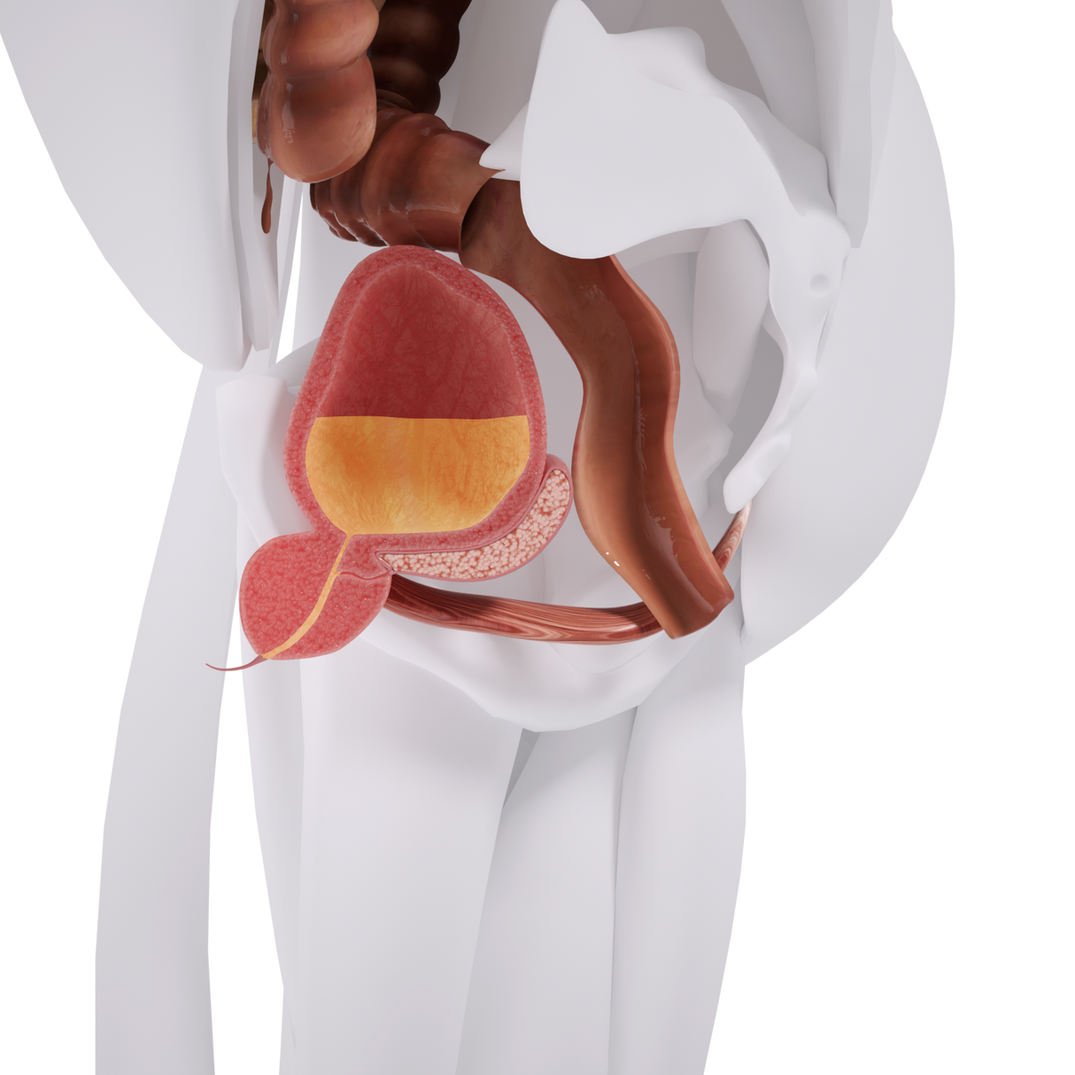 Miniestimulación del suelo pélvico con silla EM de Uno Vita