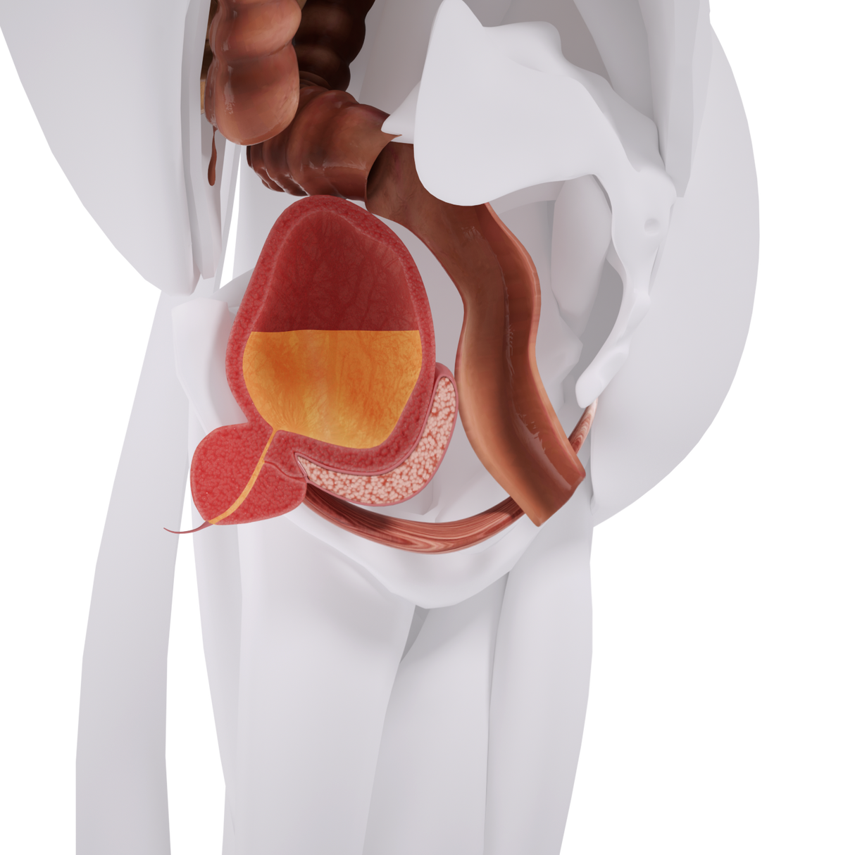 Miniestimulación del suelo pélvico con silla EM de Uno Vita