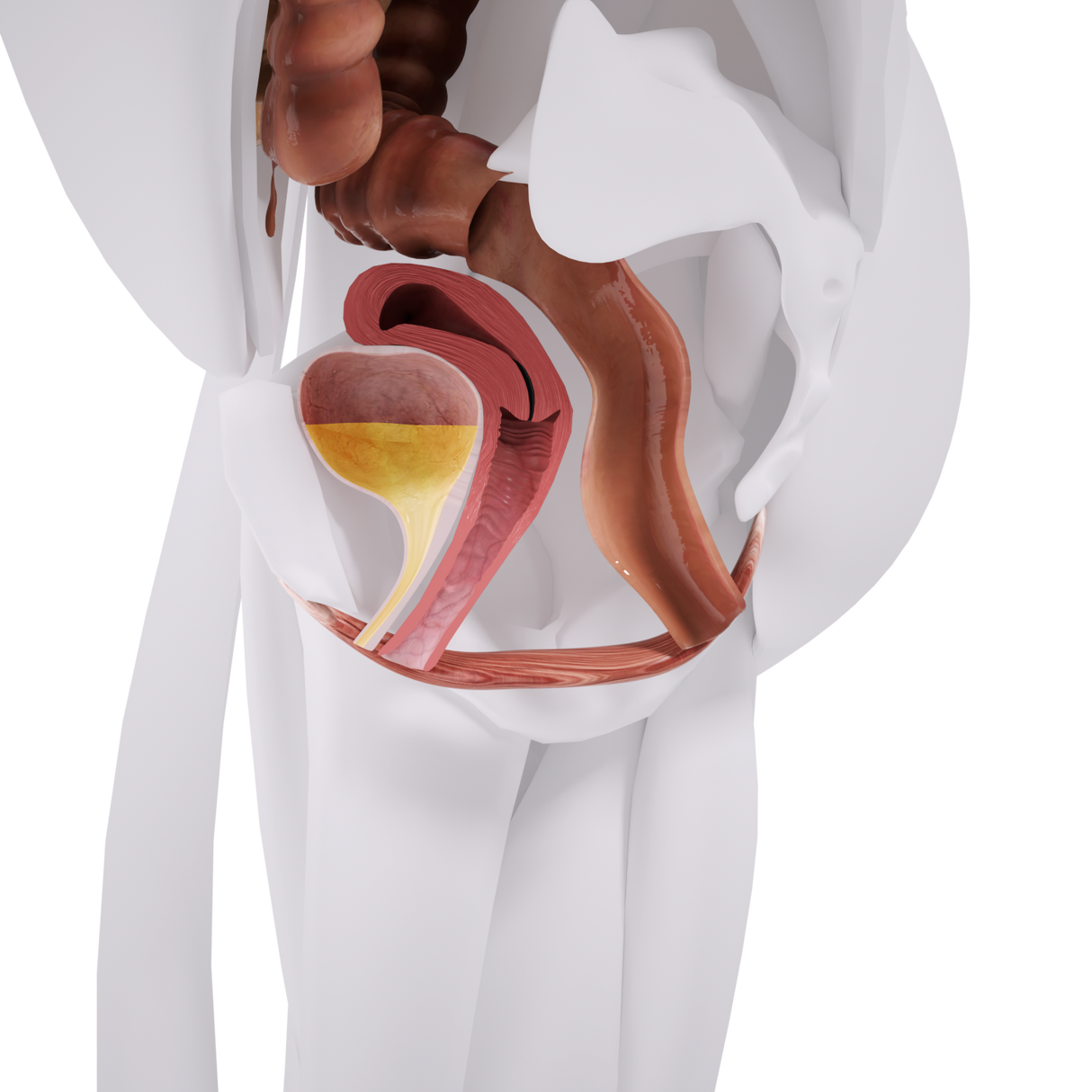 Miniestimulación del suelo pélvico con silla EM de Uno Vita