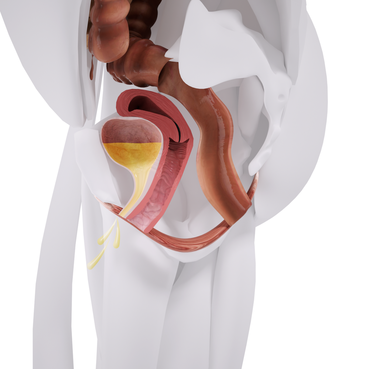 Miniestimulación del suelo pélvico con silla EM de Uno Vita