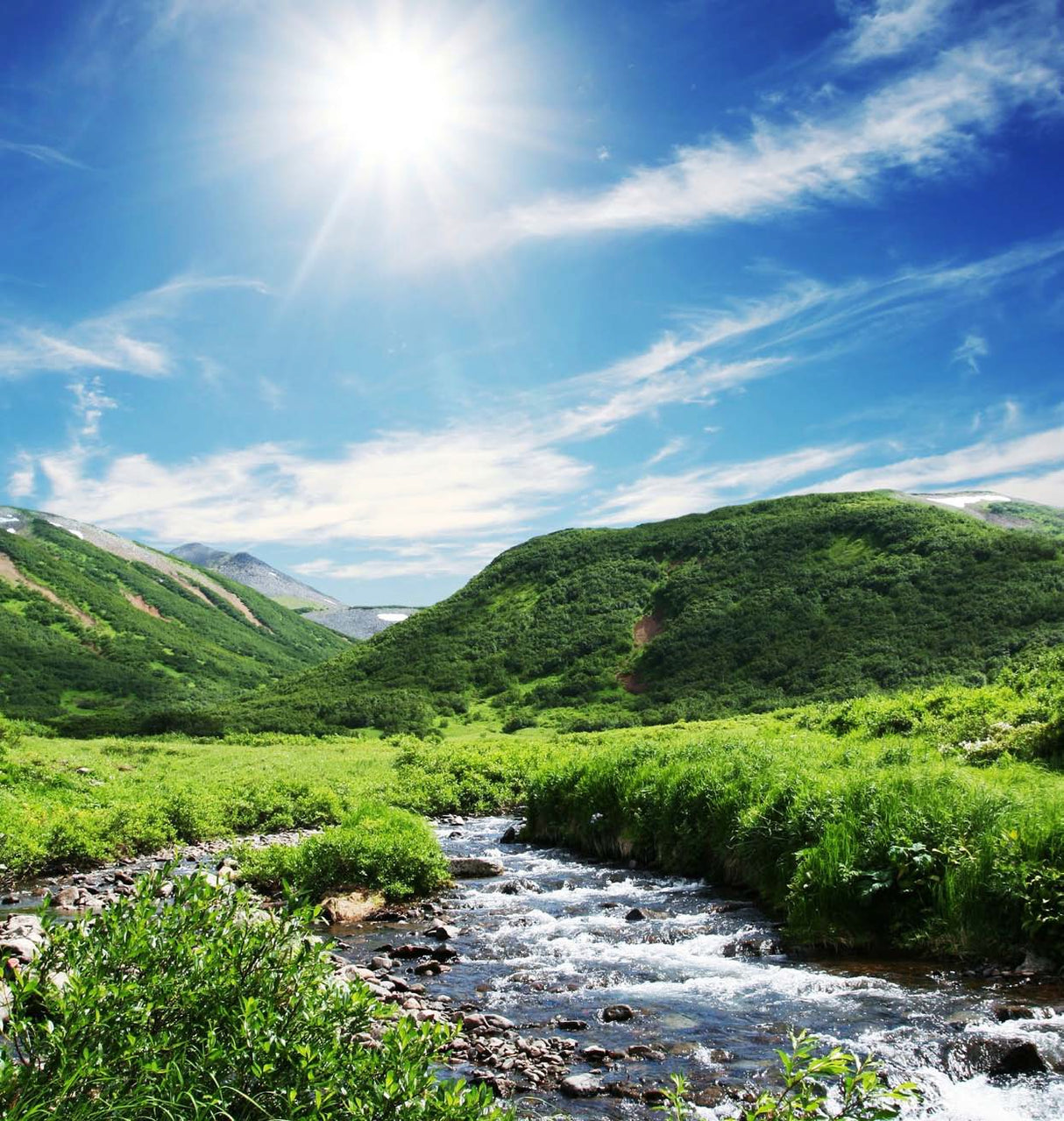 River of Life Vortex Water Revitalizer (3/4 inch) – Whole House