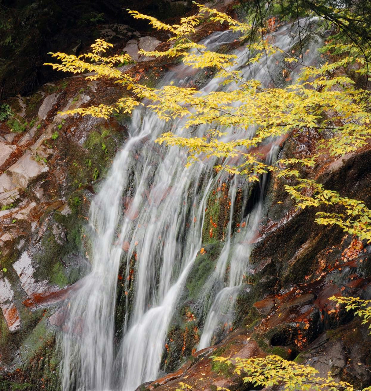 River of Life Vortex Water Revitalizer (3/4 inch) – Whole House