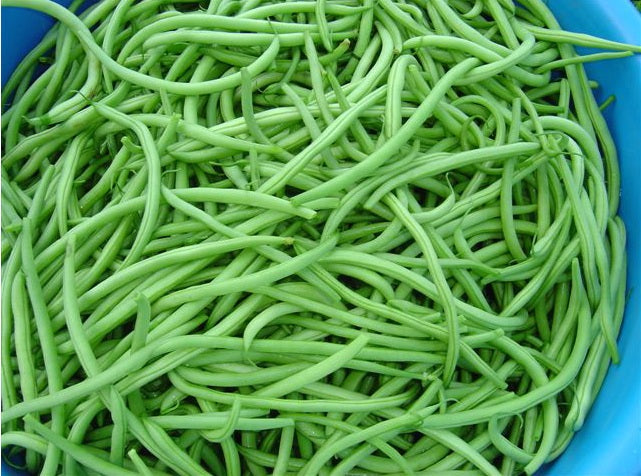 River of Life Vortex Water Revitalizer (3/4 inch) – Whole House