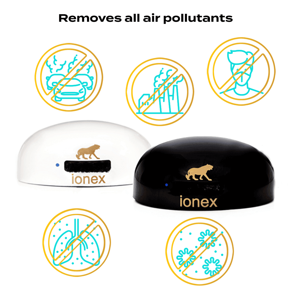 Ionex negativer Ionengenerator (schwarz)