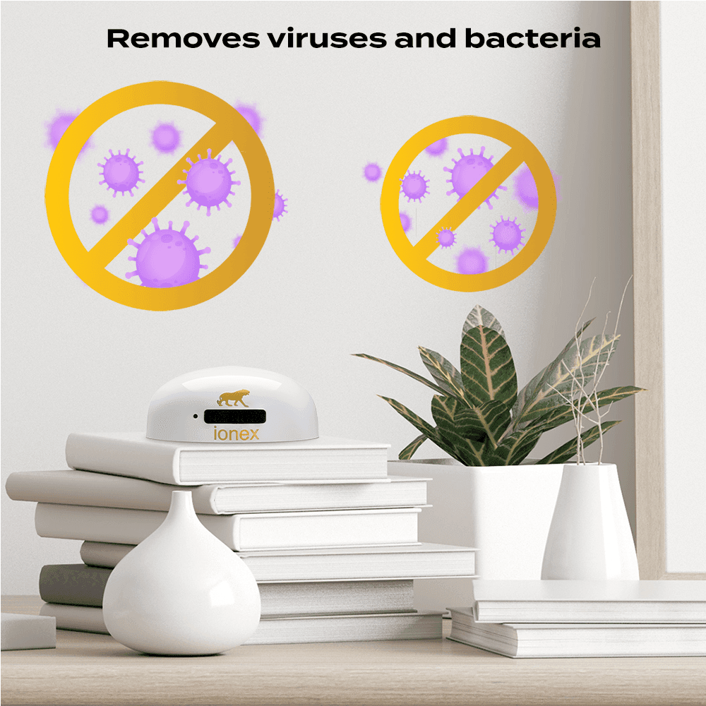 Ionex negativer Ionengenerator (schwarz)