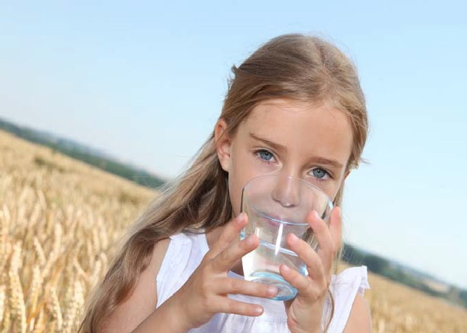 River of Life Vortex Water Revitalizer (3/4 inch) – Whole House