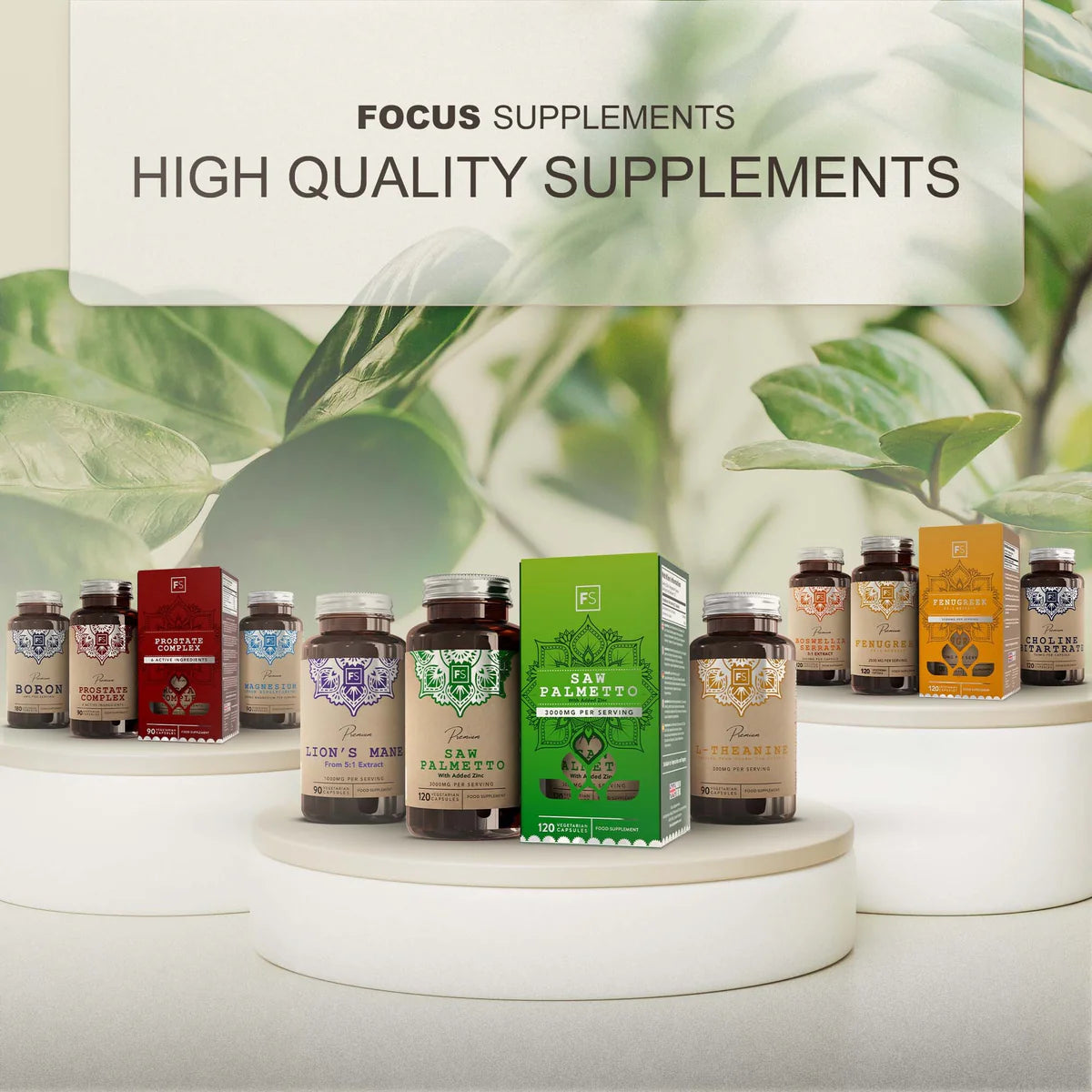 Leeuwenmanen 5:1 - Extract 1000 mg