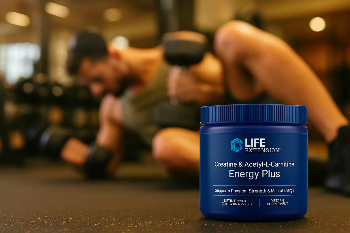 Créatine et acétyl-L-Carnitine Energy Plus