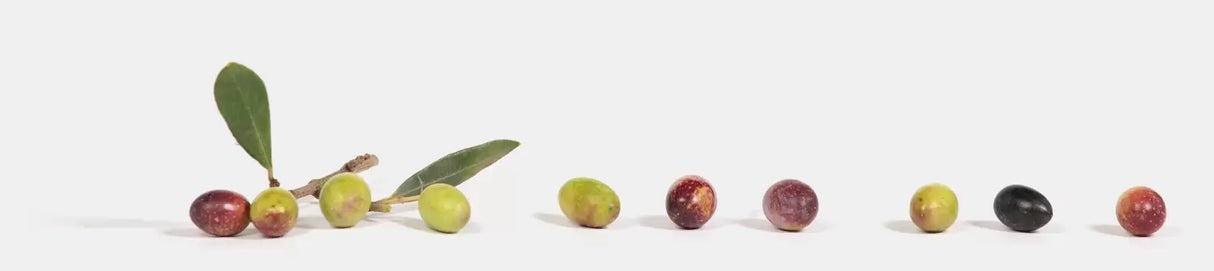 OLIVIE Anti-Age – Die ultimative organische Anti-Aging-Lösung