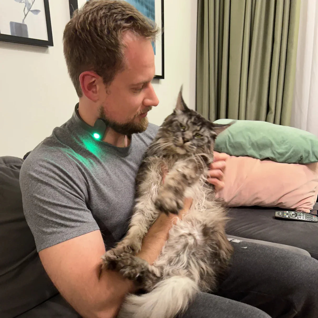 Caja de Gel Pulsetto (4 uds)