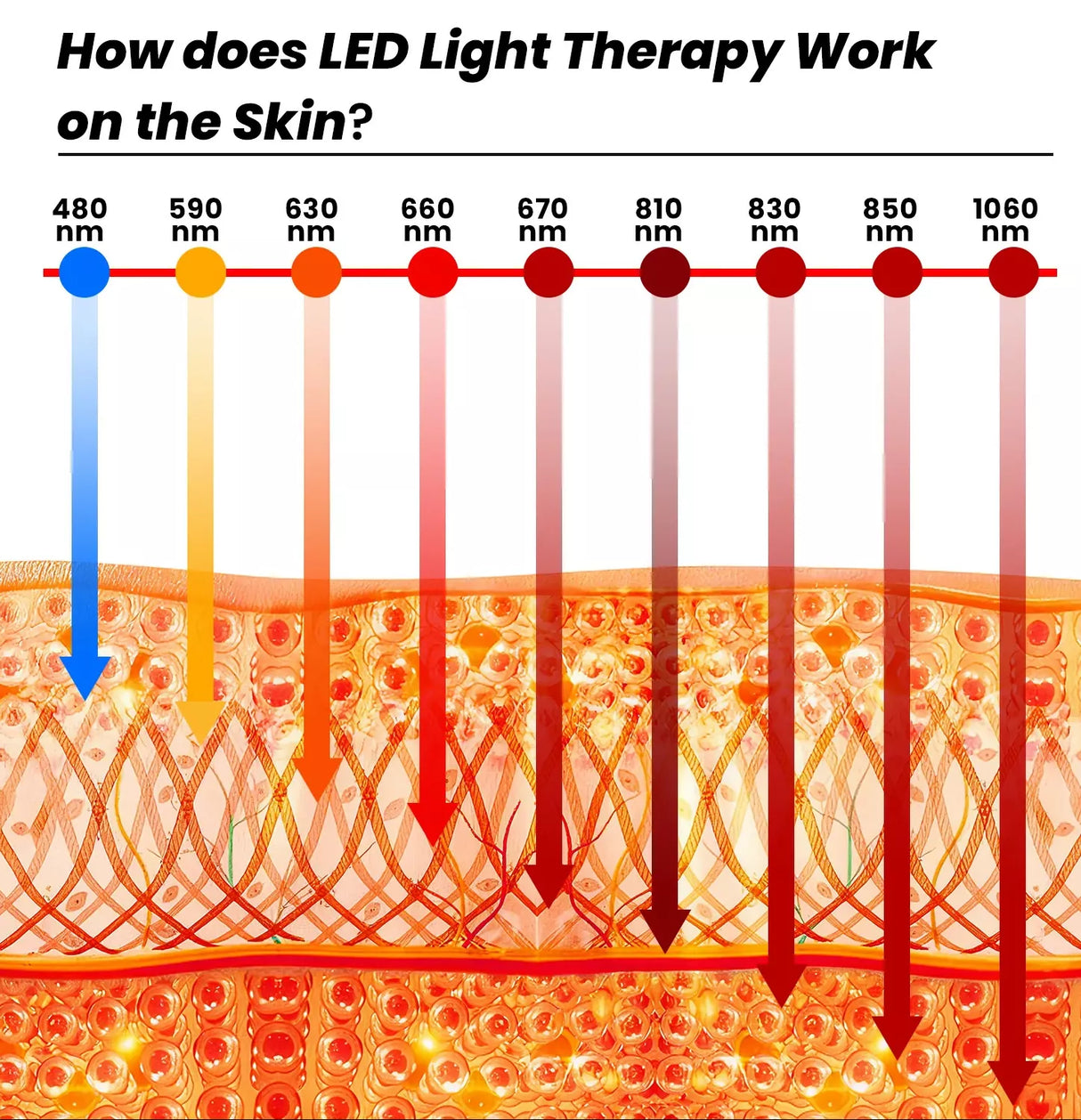 Uno Vita's RLPRO300-X2 – Innovative Red Light Therapy (9 waves – music – Luci Phi)