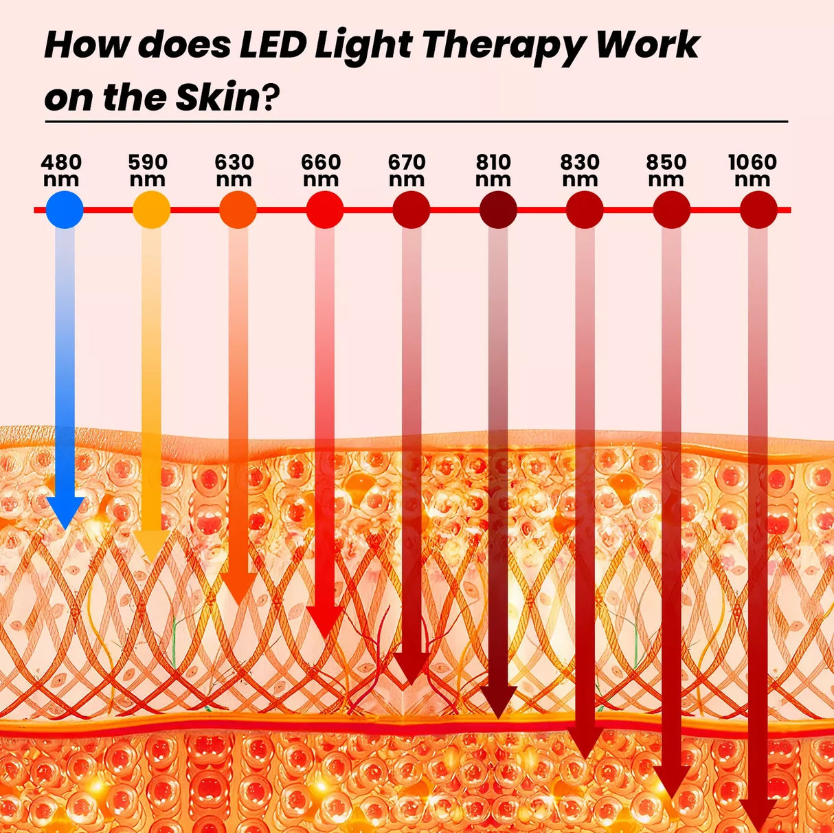 Uno Vita's RLPRO600Max-X2 – Innovative Red Light Therapy (9 waves – music – Luci Phi)