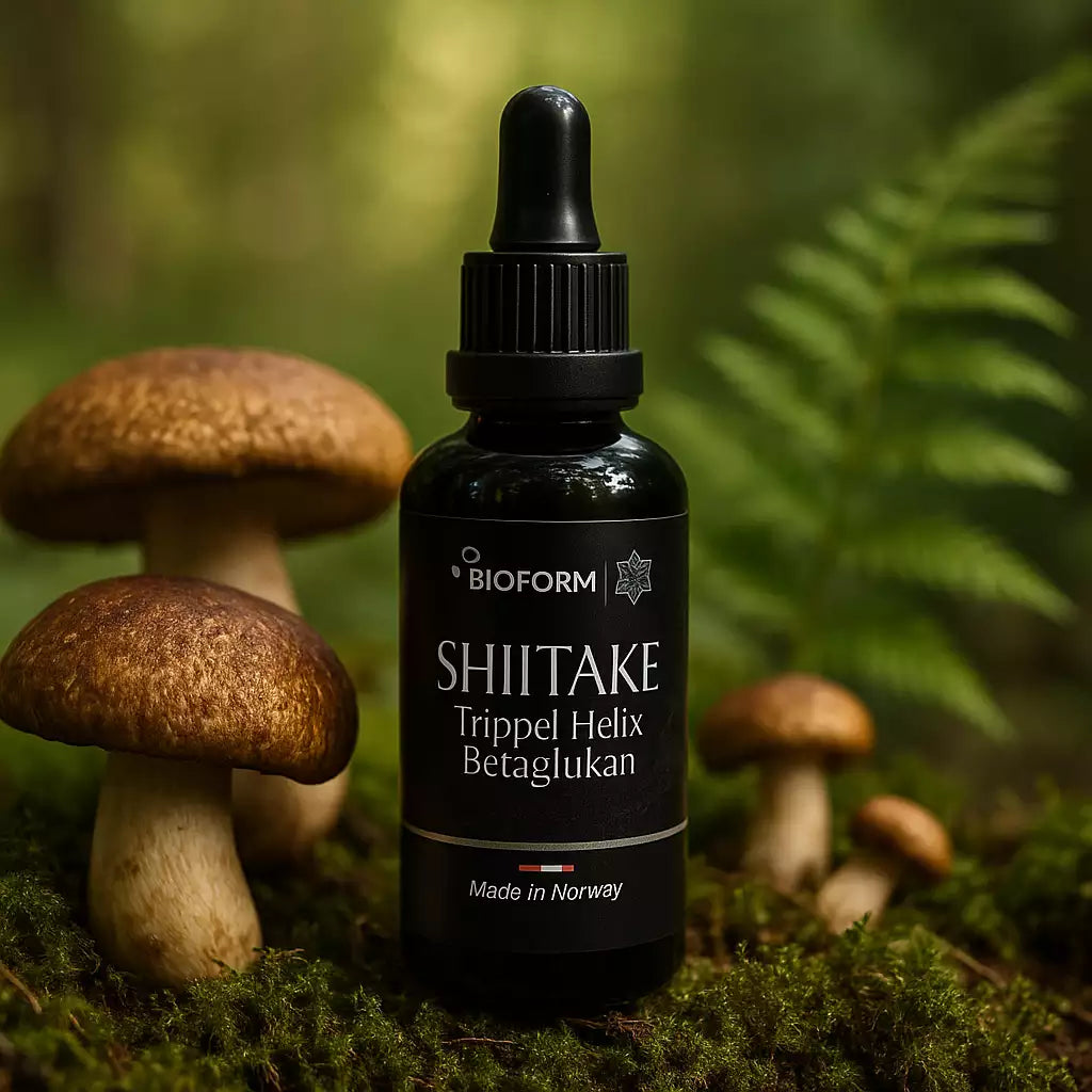 Shiitake beta-glukan (trippel helixstruktur)