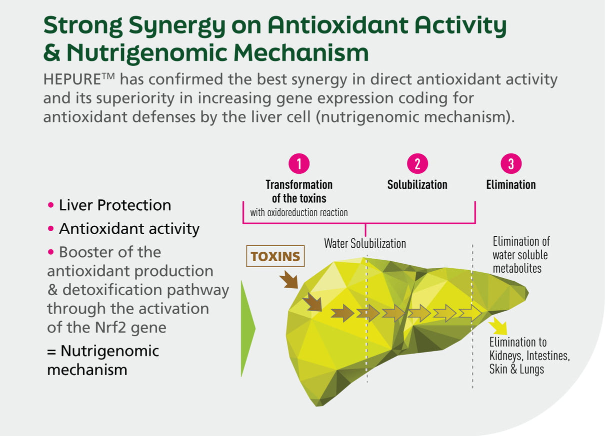 LiverTonic – Limpieza, desintoxicación y reparación avanzada del hígado