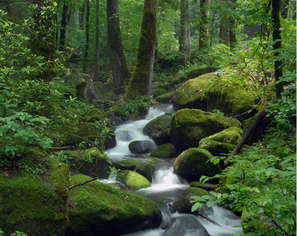 River of Life Vortex Water Revitalizer (3/4 inch) – Whole House