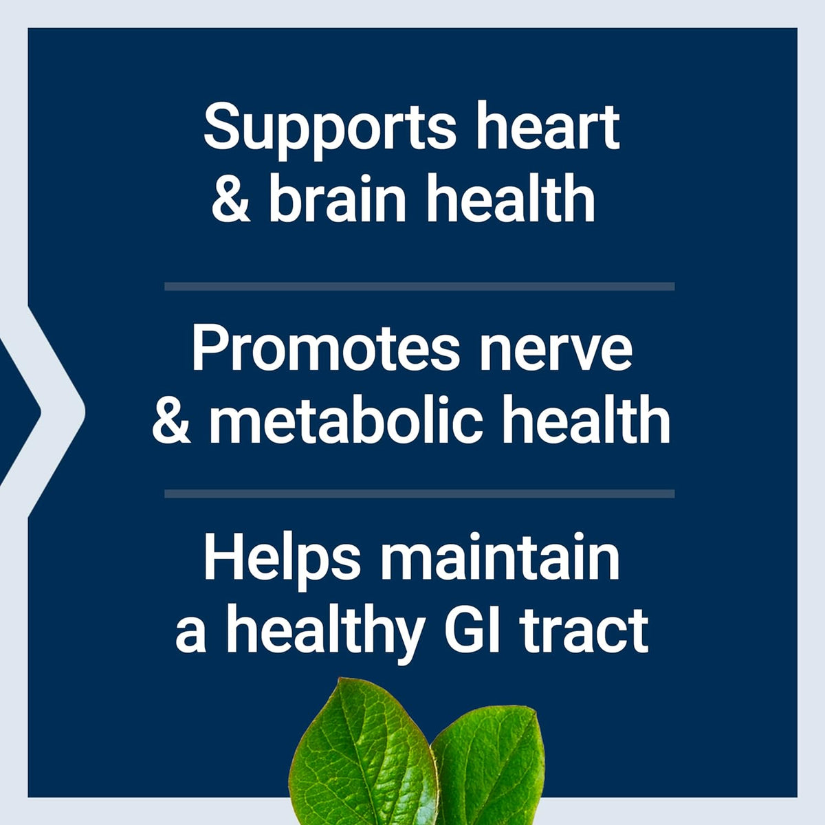 Bioactief foliumzuur en vitamine B12 - Uno Vita AS