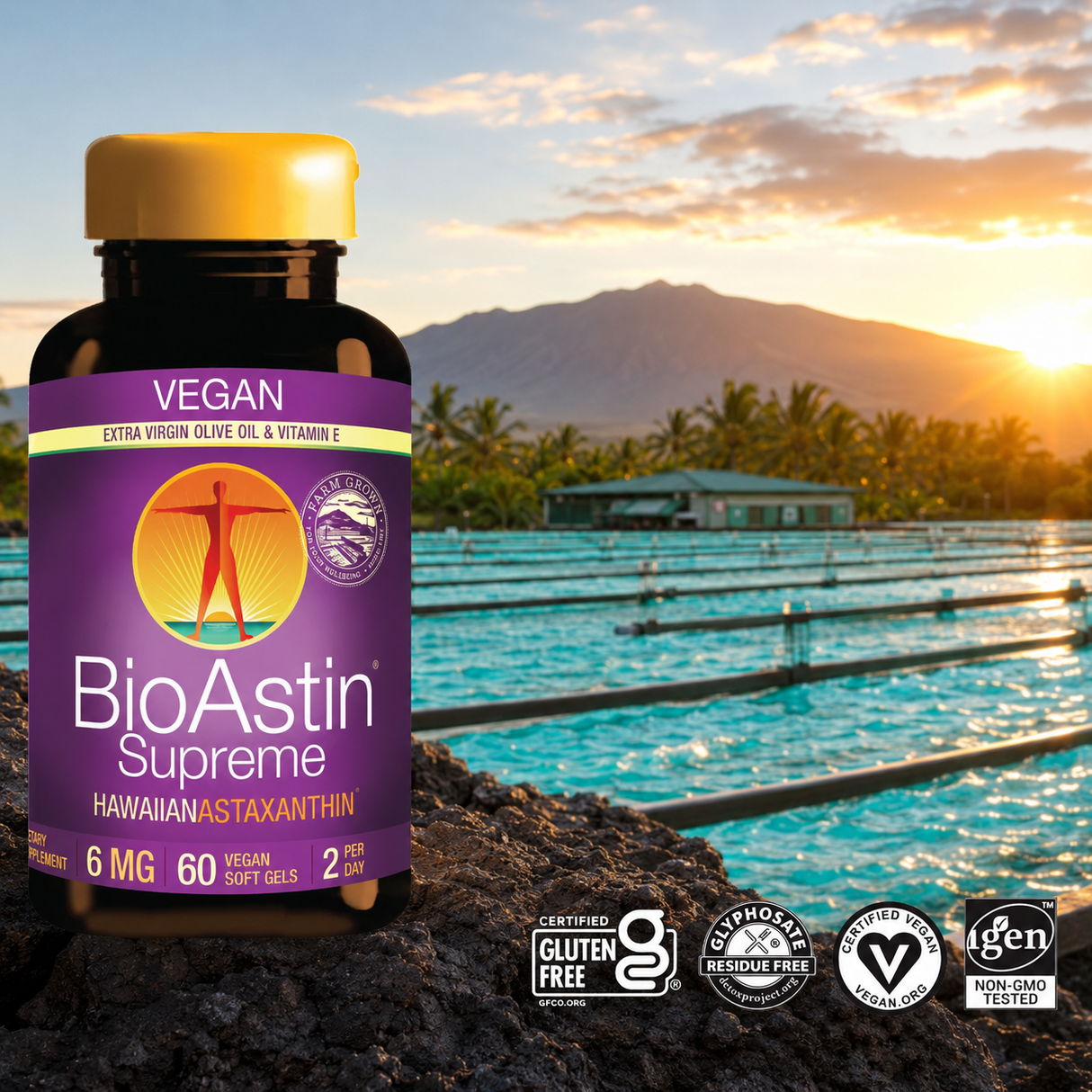 BioAstin Supreme astaxanthinflaska med 60 veganska softgels, placerad vid en pool på Hawaii.