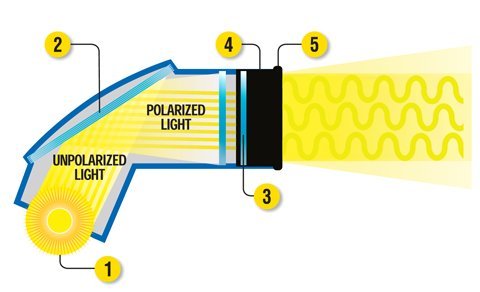 BIOPTRON 2 with stand (demo model) - Uno Vita AS