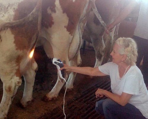 Bioptron MedAll (without stand) - Uno Vita AS