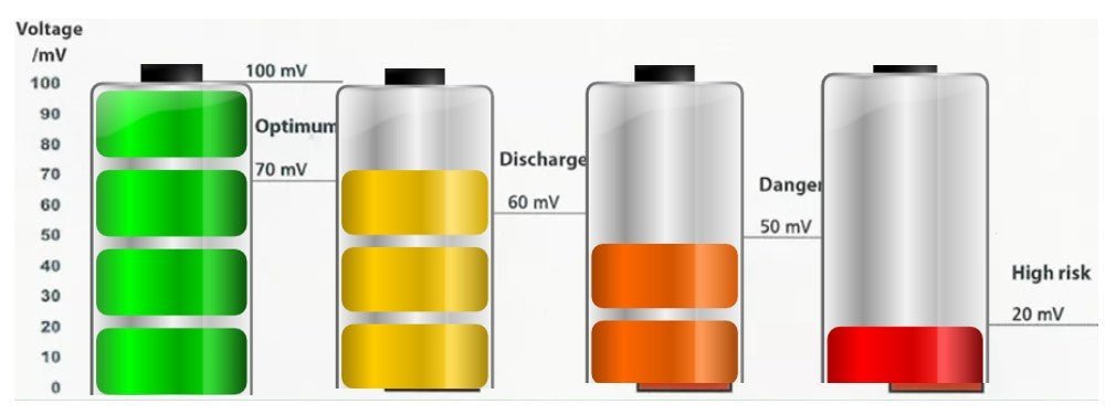 CellVital PEMF-Kopfhörer – Uno Vita AS