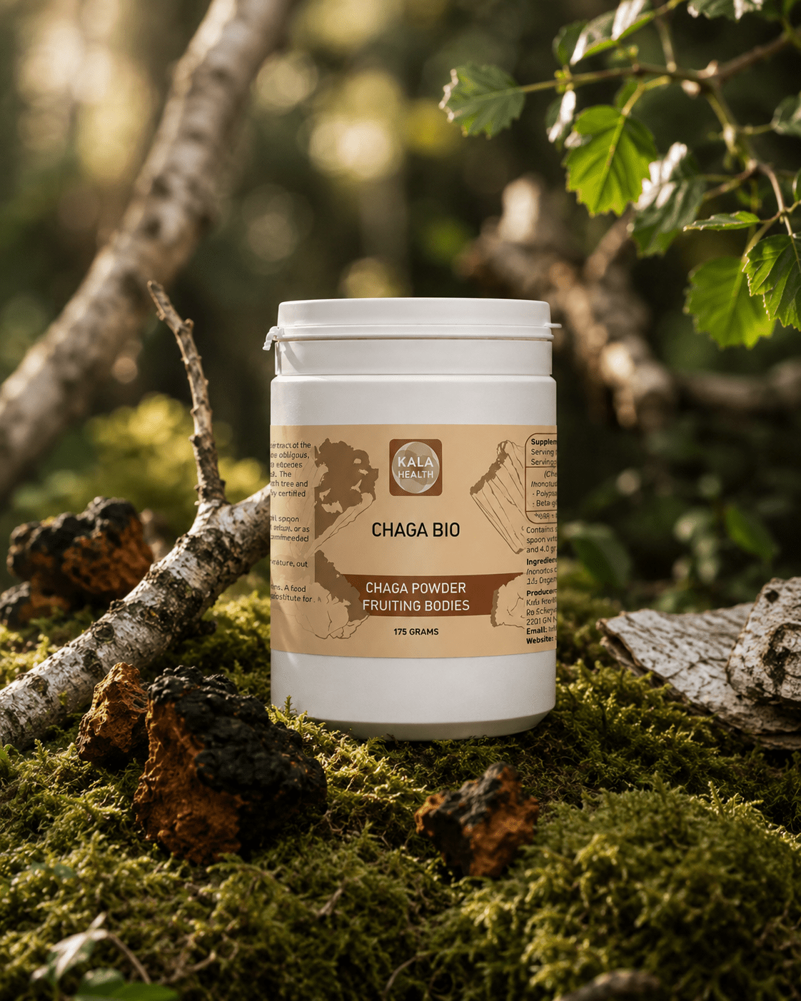 Chaga BIO (Organic) Powder - Uno Vita AS