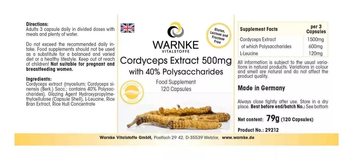 Cordyceps-Extrakt 500 mg mit 40 % Polysacchariden – 120 Kapseln – leicht zu schlucken – Uno Vita AS