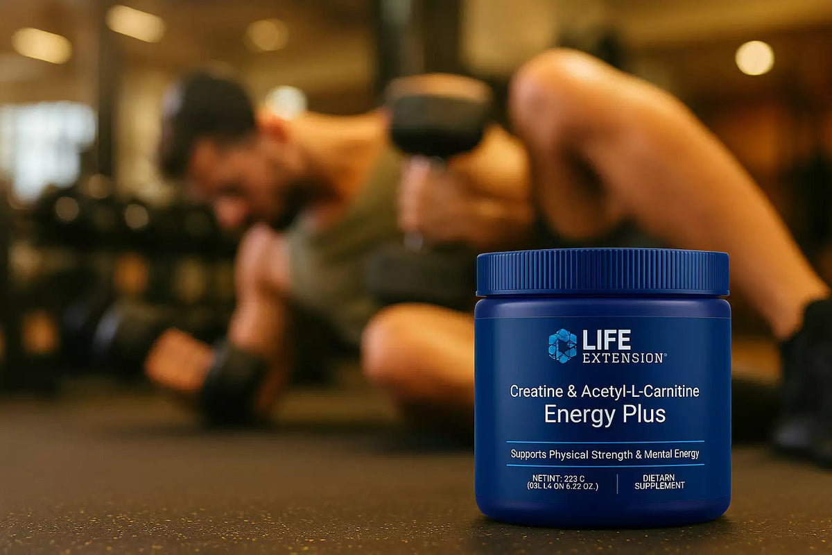 Créatine & Acétyl - L - Carnitine Energy Plus - Uno Vita AS