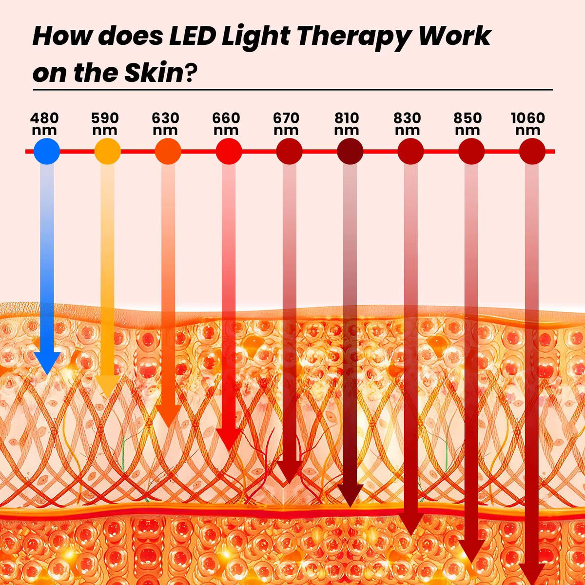 Pannello a luce rossa e NIR con 9 lunghezze d'onda, mostra le lunghezze d'onda della luce e gli effetti sulla pelle. Codice colore per una facile consultazione.