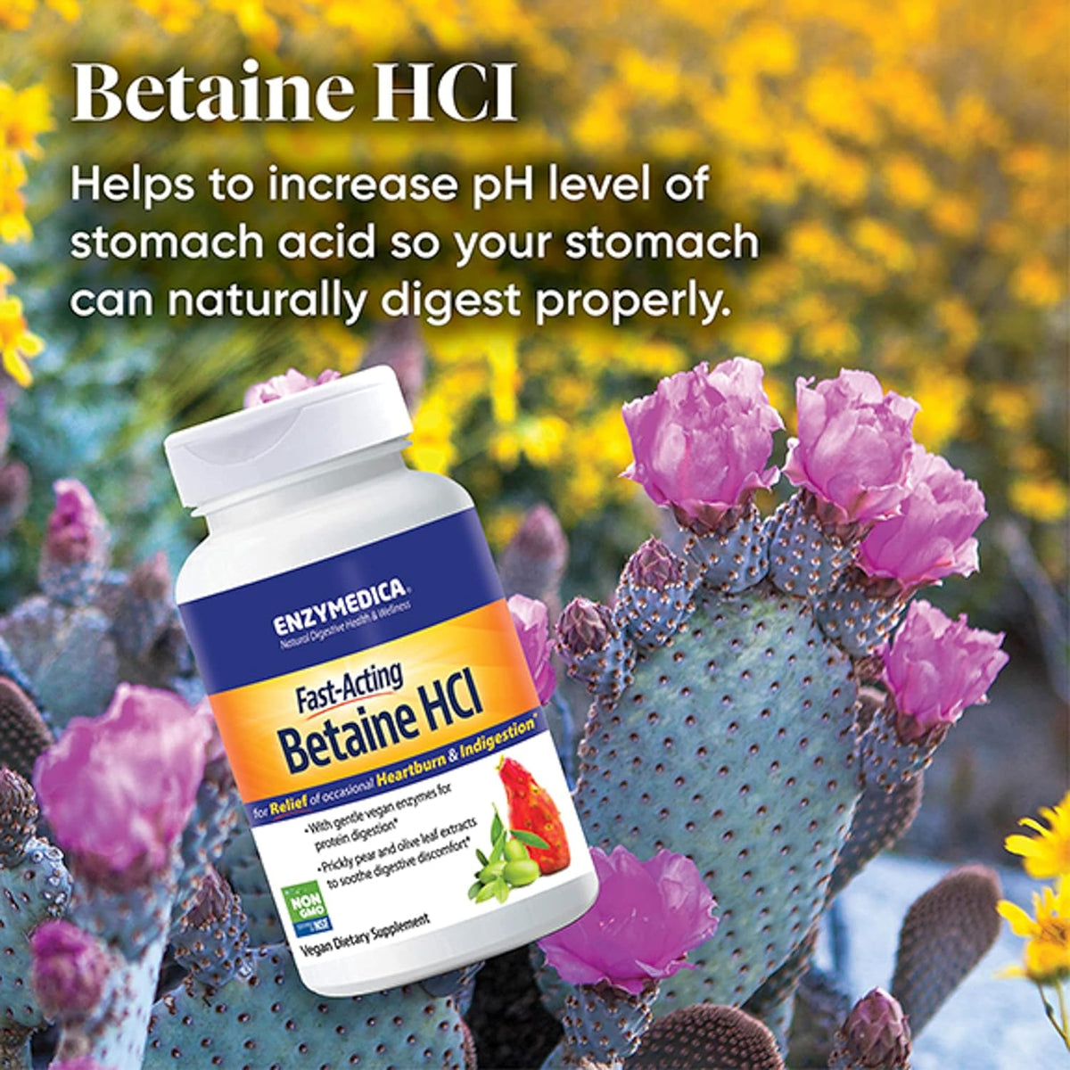 Enzymedica Bétaïne HCl (120) - Uno Vita AS