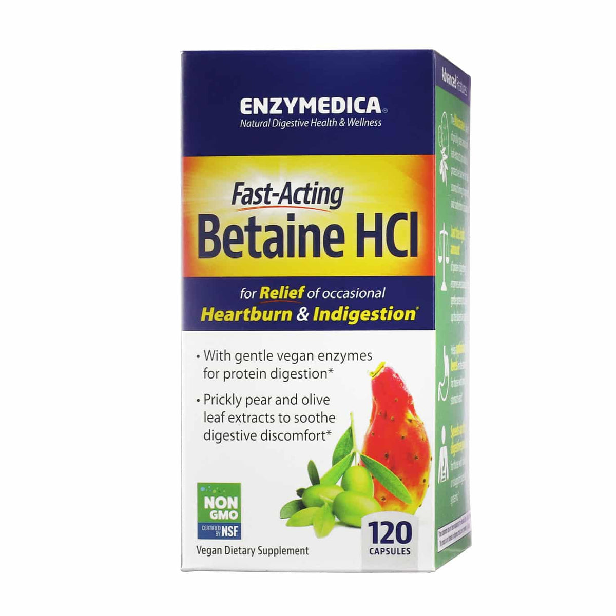 Enzymedica Bétaïne HCl (120) - Uno Vita AS