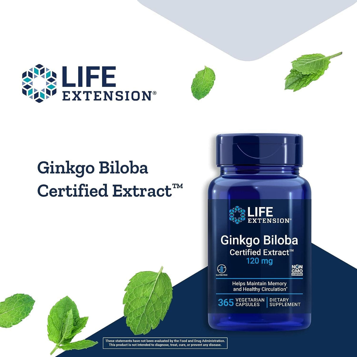 Ginkgo Biloba-zertifizierter Extrakt – Uno Vita AS