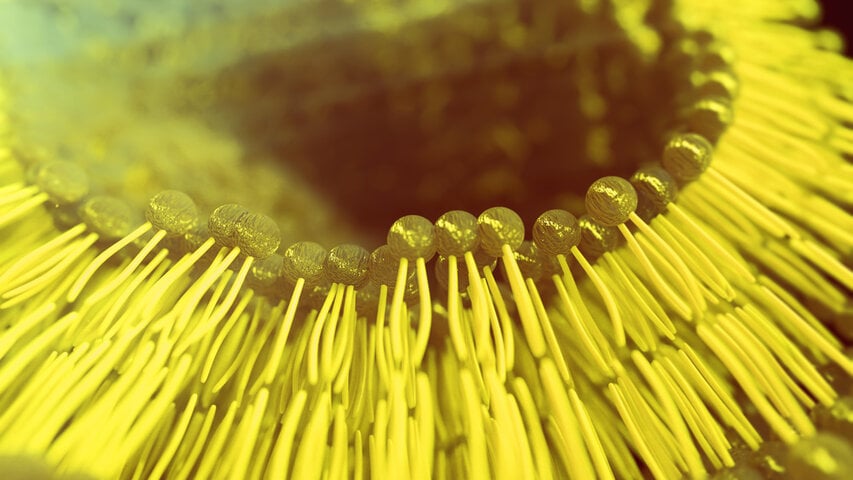 Glutathion Pro Liposomal - Uno Vita AS