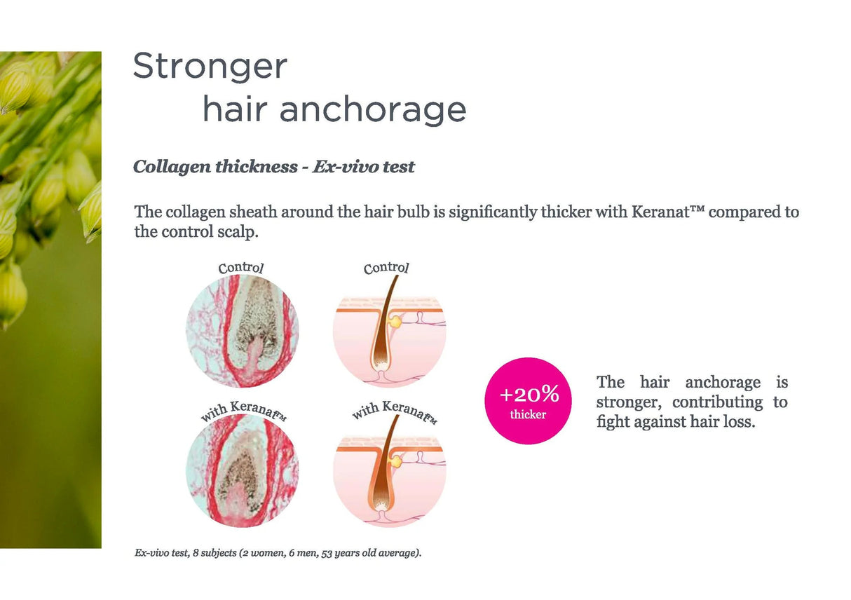 Complejo capilar - Keranat clínicamente probado - Mejora el brillo, el volumen y la belleza del cabello - Uno Vita AS