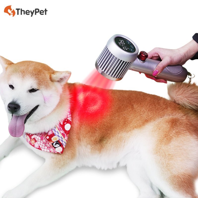 HD-CureX (Class IV laser) - Uno Vita AS