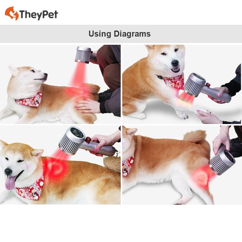 HD-CureX (Class IV laser) - Uno Vita AS