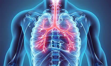 Des poumons sains - Uno Vita AS