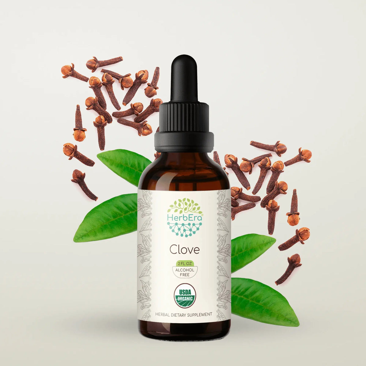 HerbEra Clove Tincture 59 ml bottle of liquid clove extract in 1:3 strength of Syzygium aromaticum