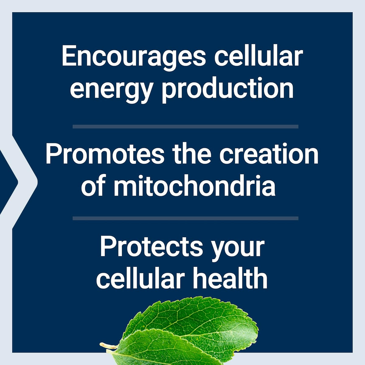 Mitochondrial Energy Optimizer med PQQ - Uno Vita AS