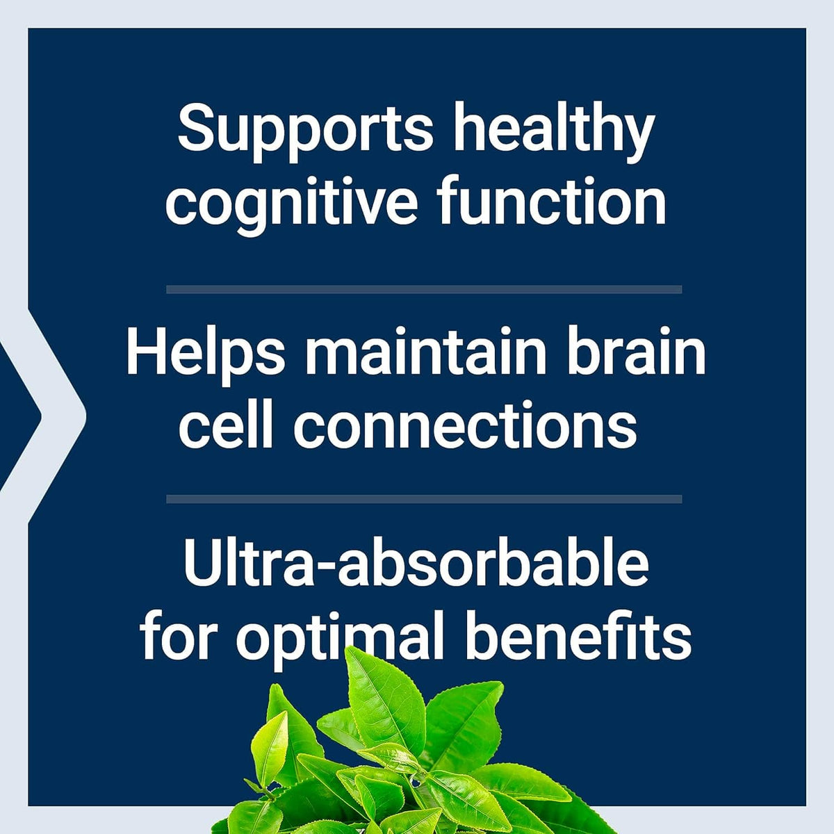 Neuro Mag Magnesium L - Threonat (90) (Bestseller) - Uno Vita AS