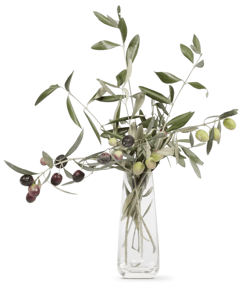 OLIVIE Anti-Age - The Ultimate Organic Anti-Aging Solution - Uno Vita AS