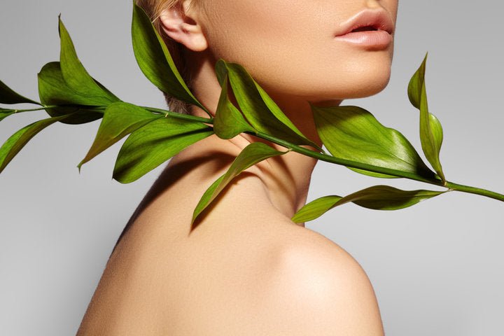 OLIVIE BEAUTY – Bio-zertifizierte Gesichtscreme – Uno Vita AS